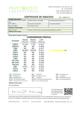 214398695.webp